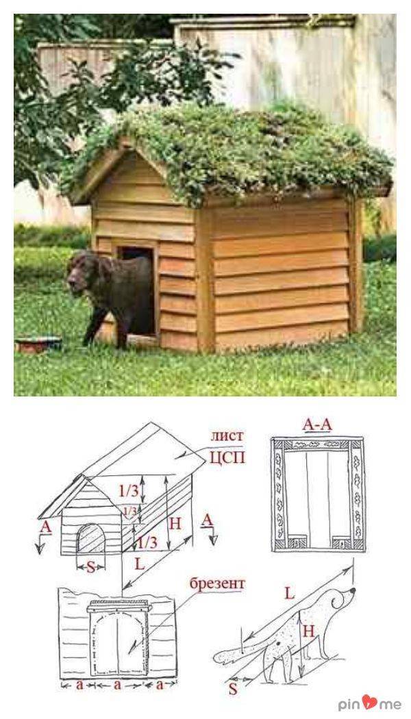 Конура для собаки своими руками: чертежи и размеры деревянной будки для собаки