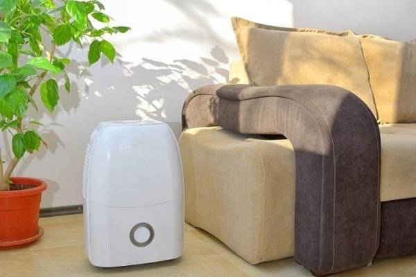 Осушители воздуха для квартиры: способ создать идеальный микроклимат
